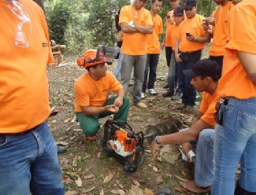 Tree Planting