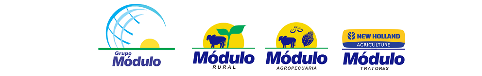 Grupo Módulo